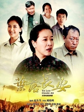 叶落长安剧情介绍_天天影视