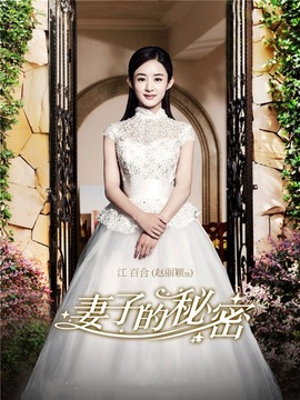 妻子的秘密剧情介绍_天天影视