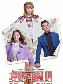 咱们俩复婚吧剧情介绍_天天影视