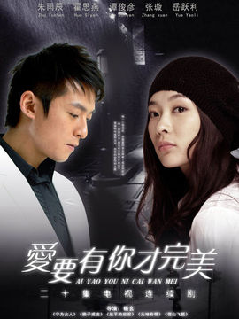 爱要有你才完美剧情介绍_天天影视