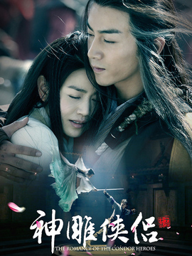 神雕侠侣剧情介绍_天天影视