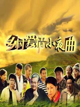 乡村爱情小夜曲剧情介绍_天天影视