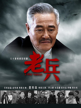 老兵剧情介绍_天天影视