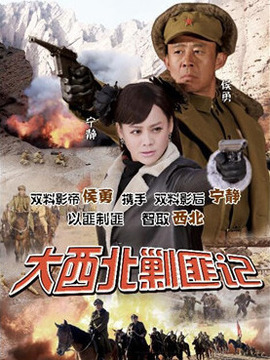 大西北剿匪记剧情介绍_天天影视