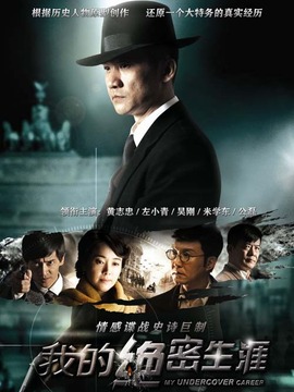 我的绝密生涯剧情介绍_天天影视