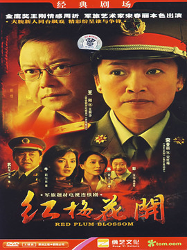 红梅花开剧情介绍_天天影视