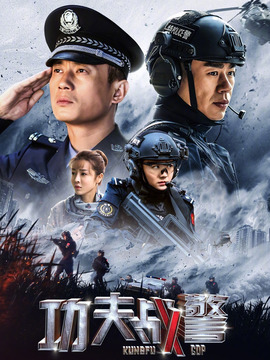 功夫战警剧情介绍_天天影视