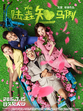 陆垚知马俐剧情介绍_天天影视