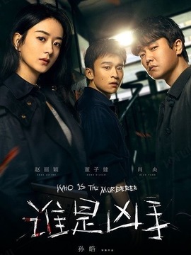 谁是凶手剧情介绍_天天影视