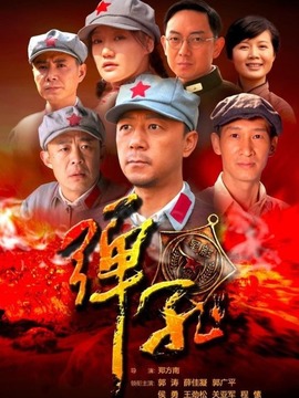 弹孔剧情介绍_天天影视