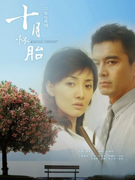 十月怀胎剧情介绍_天天影视