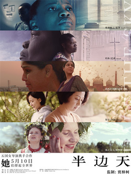 半边天剧情介绍_天天影视