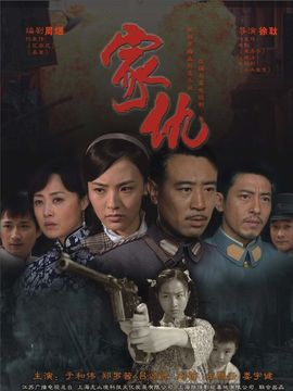 家仇剧情介绍_天天影视