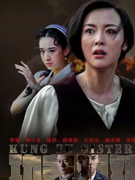 功夫姐妹剧情介绍_天天影视