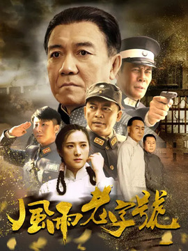 风雨老字号剧情介绍_天天影视