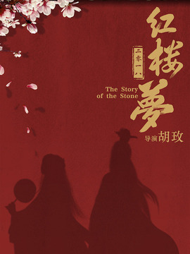 红楼梦电影版剧情介绍_天天影视