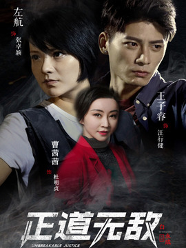正道无敌剧情介绍_天天影视