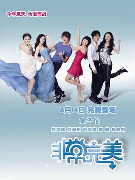 非常完美剧情介绍_天天影视