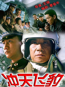 冲天飞豹剧情介绍_天天影视