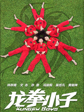 龙拳小子剧情介绍_天天影视