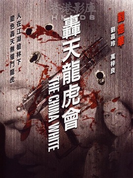 轰天龙虎会剧情介绍_天天影视