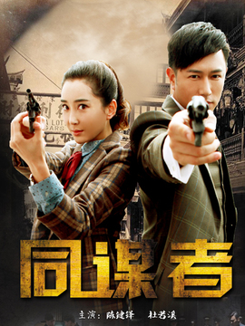 同谋者剧情介绍_天天影视