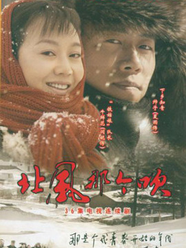 北风那个吹剧情介绍_天天影视