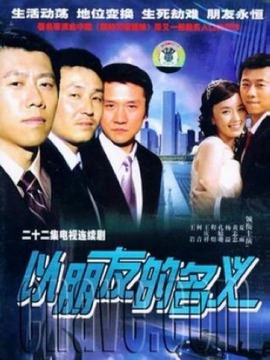 以朋友的名义剧情介绍_天天影视