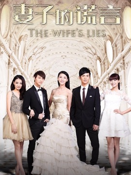 妻子的谎言剧情介绍_天天影视