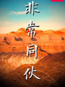 非常同伙剧情介绍_天天影视