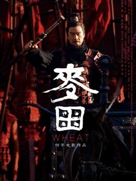 长平大战之麦田剧情介绍_天天影视