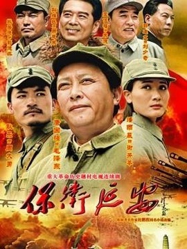 保卫延安剧情介绍_天天影视