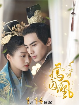 凤囚凰剧情介绍_天天影视