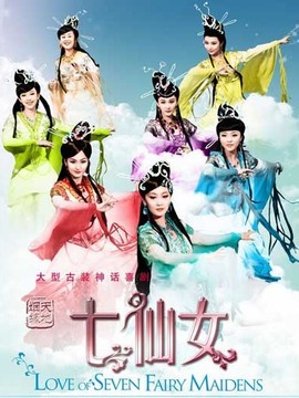 天地姻缘七仙女剧情介绍_天天影视