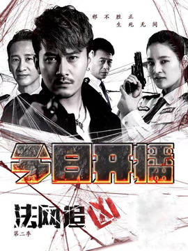 法网追凶第二季剧情介绍_天天影视