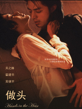 做头剧情介绍_天天影视