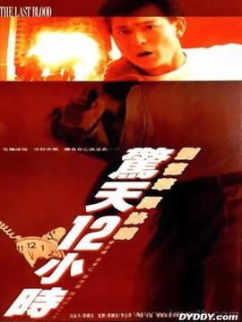 惊天十二小时剧情介绍_天天影视