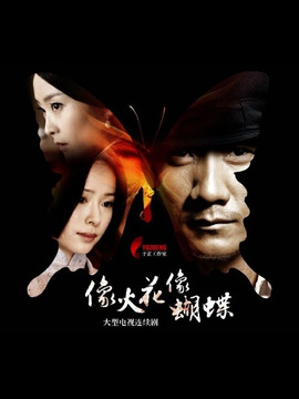 像火花像蝴蝶剧情介绍_天天影视