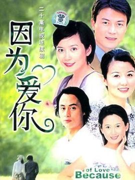 因为爱你剧情介绍_天天影视