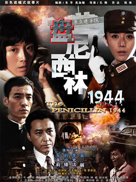 盘尼西林1944剧情介绍_天天影视