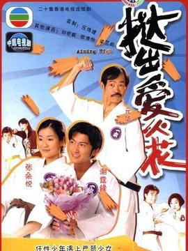 挞出爱火花剧情介绍_天天影视