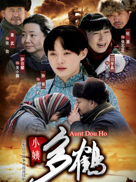 小姨多鹤剧情介绍_天天影视