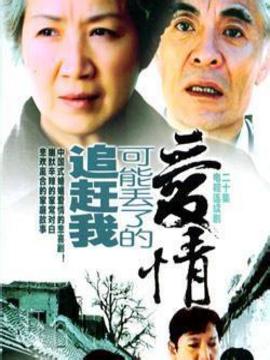 追赶我可能丢了的爱情剧情介绍_天天影视