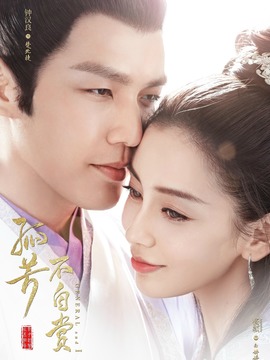 孤芳不自赏剧情介绍_天天影视