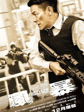 风暴剧情介绍_天天影视