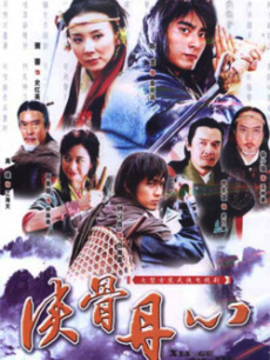 侠骨丹心剧情介绍_天天影视