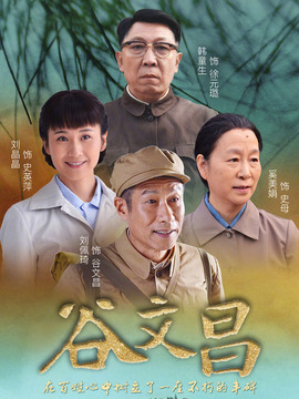 谷文昌剧情介绍_天天影视