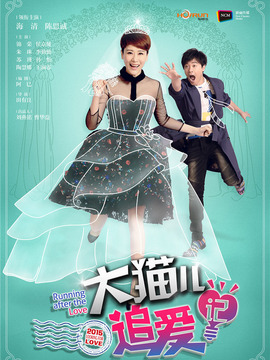大猫儿追爱记剧情介绍_天天影视