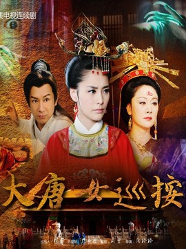 大唐女巡按剧情介绍_天天影视