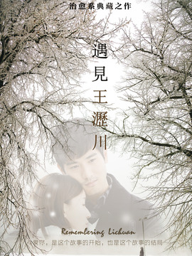 遇见王沥川剧情介绍_天天影视